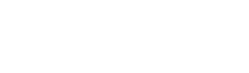 aurora no back logo