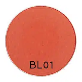 BL01