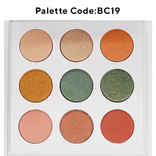 BC19-9 shades